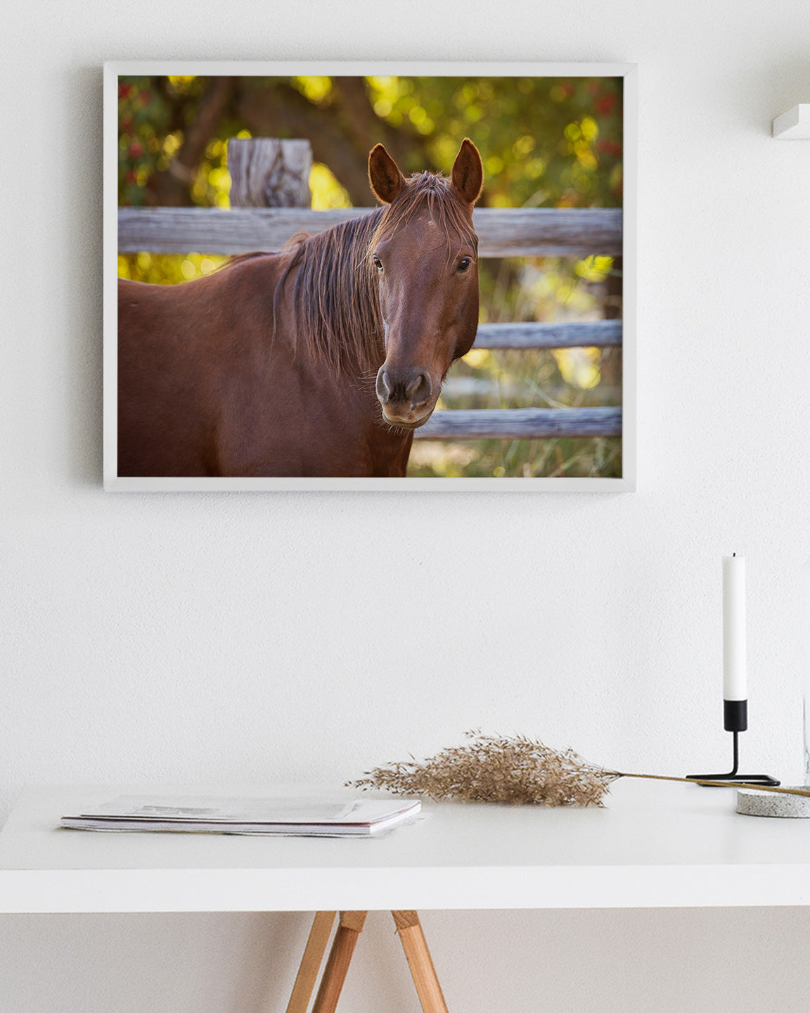 Country Equine Photography