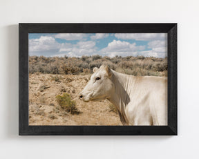 Desert Lady Cow Print