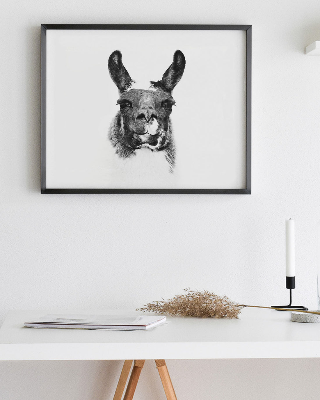 Modern Llama Photograph in Black and White