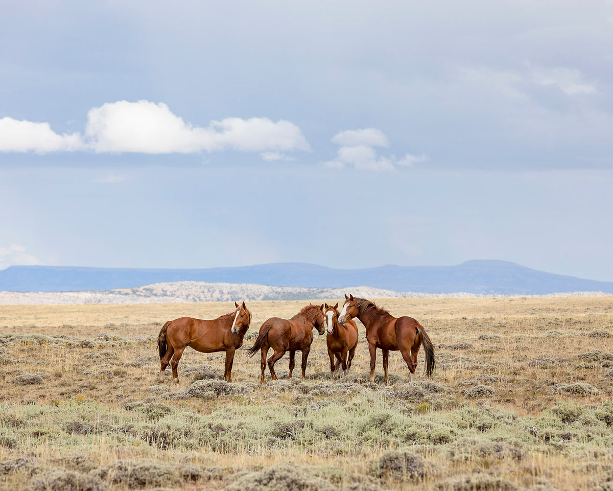 On Their Land